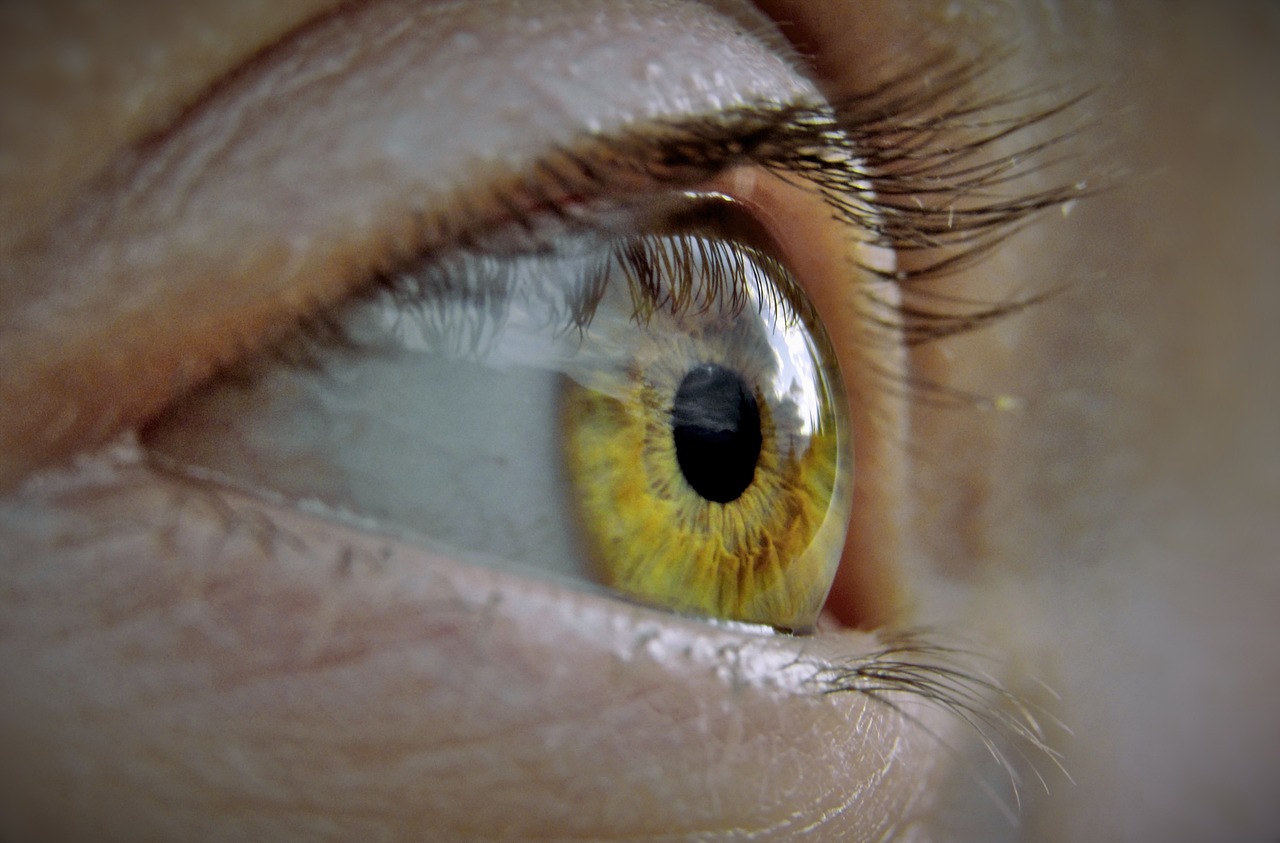 The Relationship of Human Behavior and Safety Measures: A Closer Look